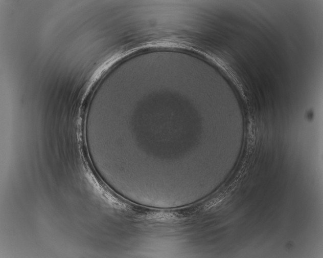 X0000116020998200912111347