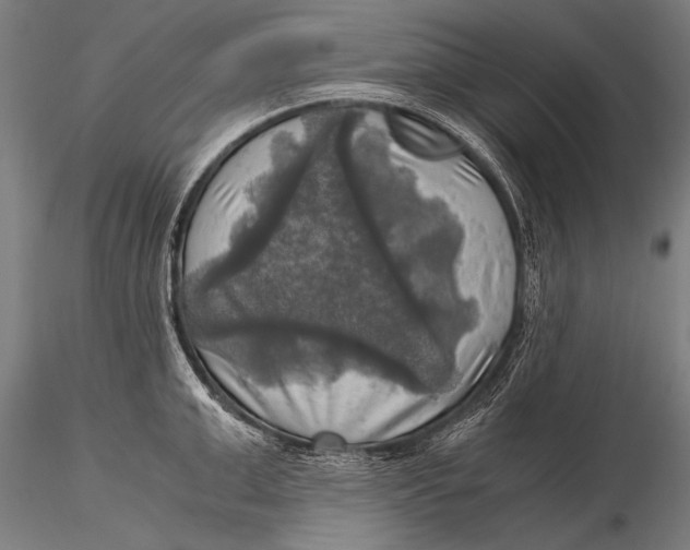 X0000116020999200912111347