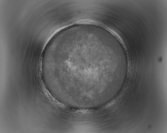 X0000116021000200912111347