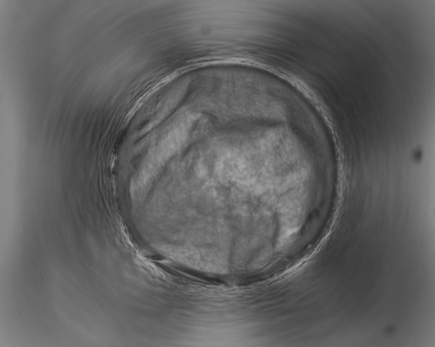 X0000116021001200912111347