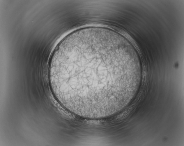 X0000116021004200912111347