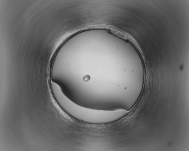 X0000116021005200912111347