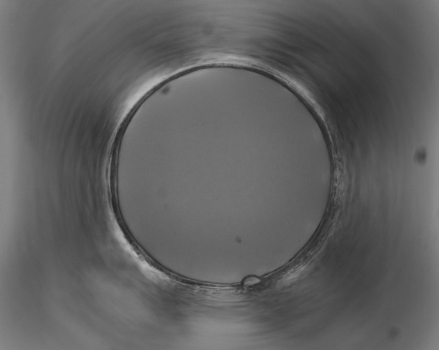 X0000116021007200912111347