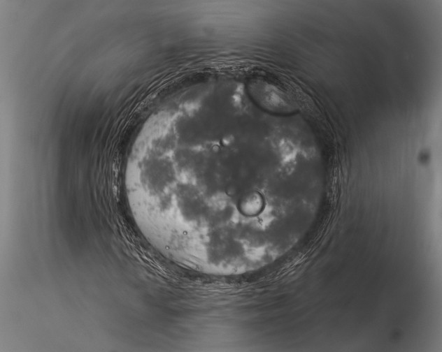 X0000116021010200912111346