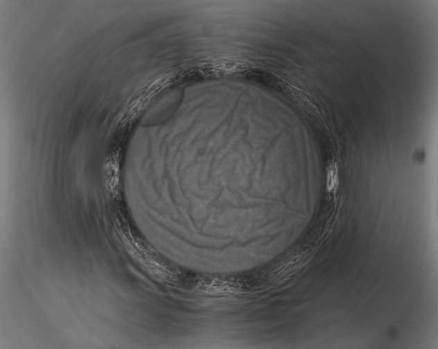 X0000116021011200912111347