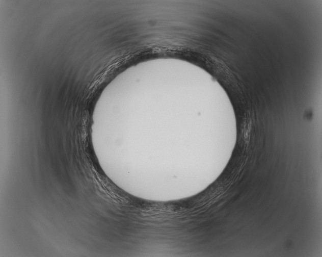 X0000116021012200912111347