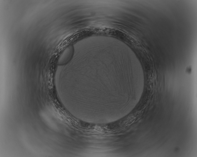 X0000116021013200912111347