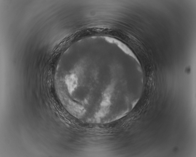 X0000116021014200912111347