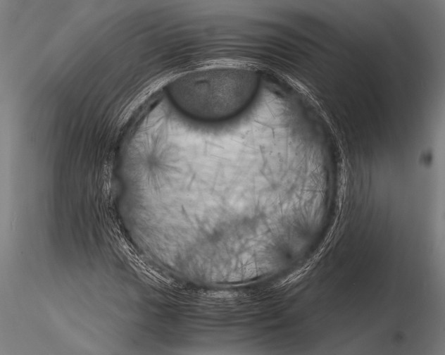 X0000116021017200912111347