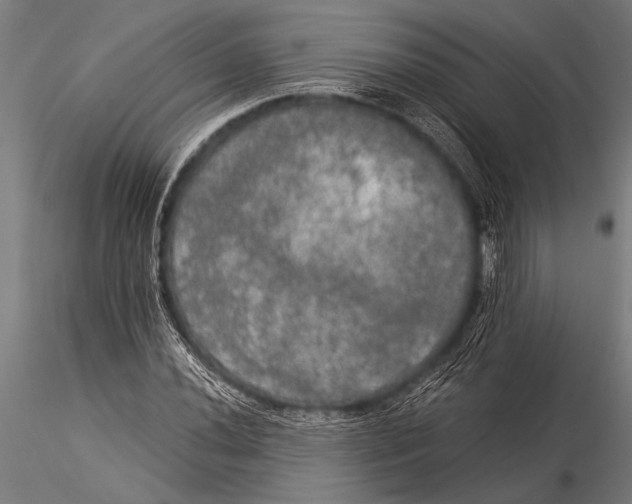 X0000116021020200912111347