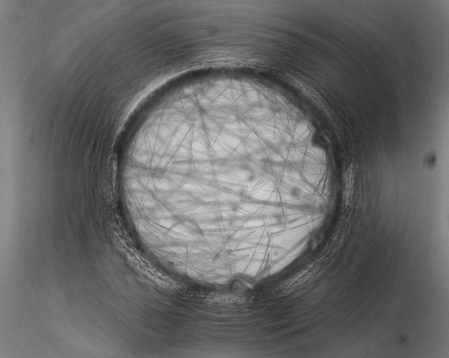 X0000116021021200912111347