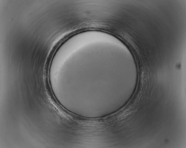 X0000116021024200912111347