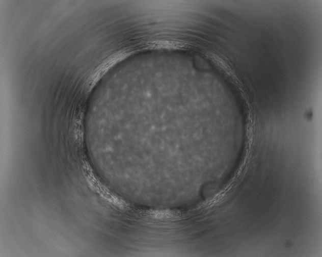 X0000116021025200912111347