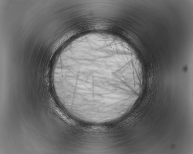 X0000116021026200912111347