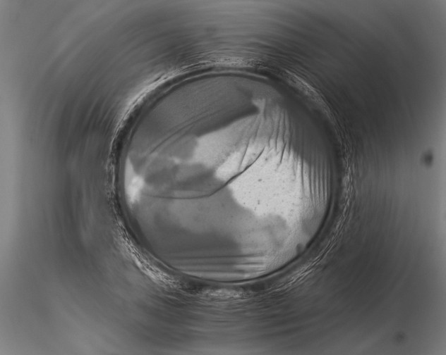 X0000116021027200912111347