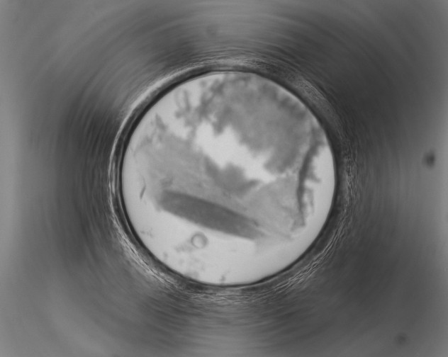 X0000116021028200912111347