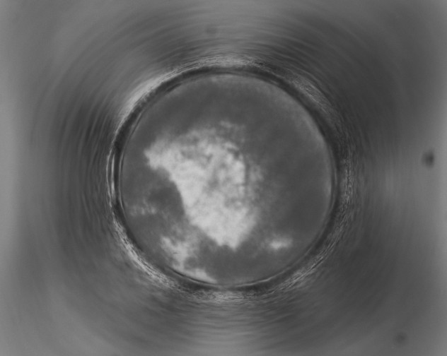 X0000116021030200912111347