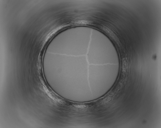 X0000116021031200912111347