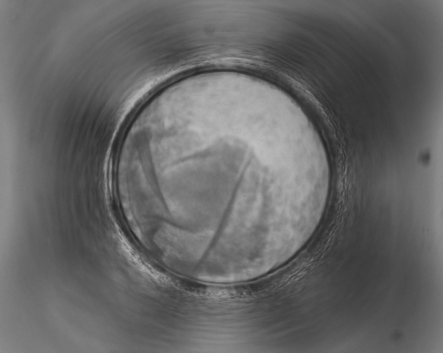 X0000116021032200912111347