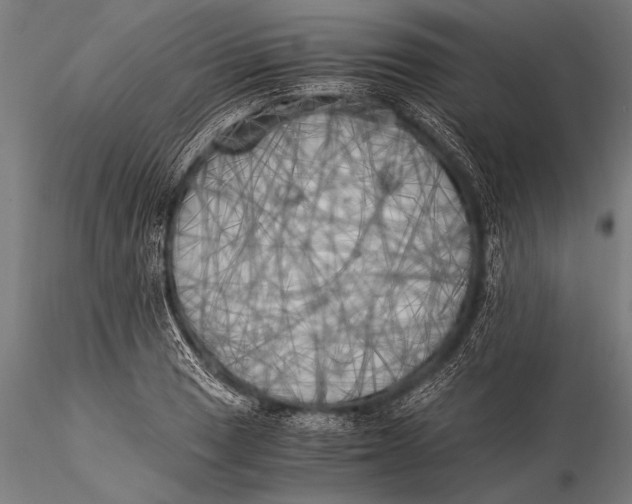 X0000116021033200912111347