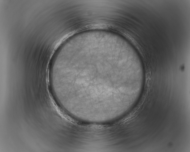 X0000116021034200912111347