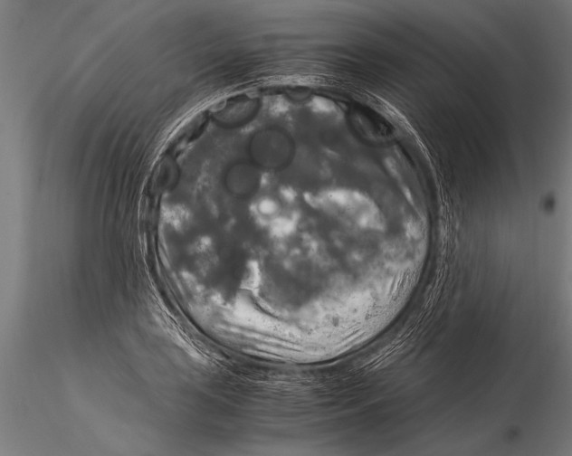 X0000116021035200912111347