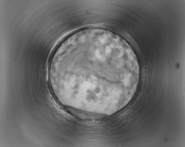 X0000116021036200912111347