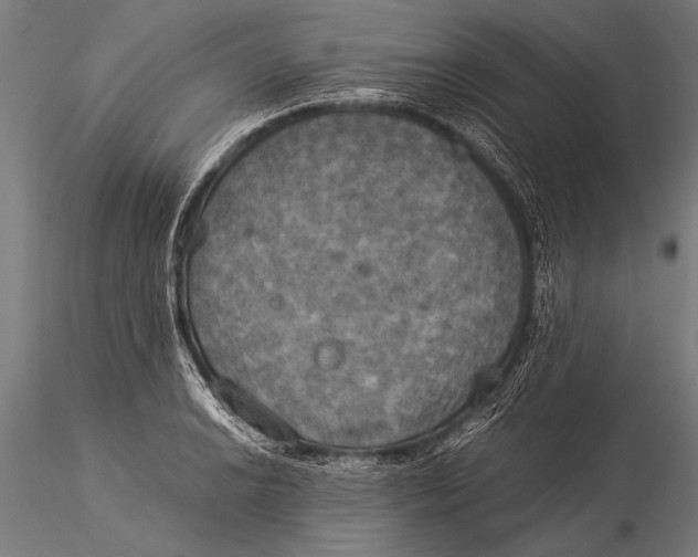 X0000116021038200912111347