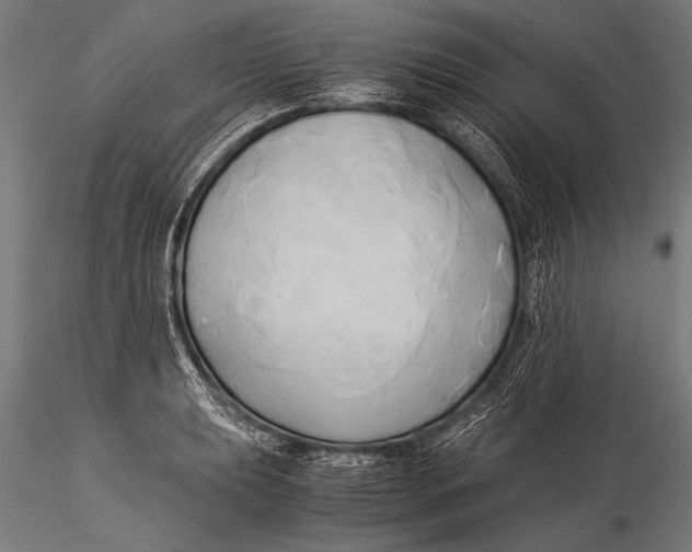 X0000116021039200912111347