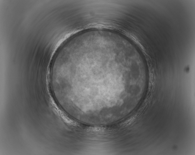 X0000116021040200912111347