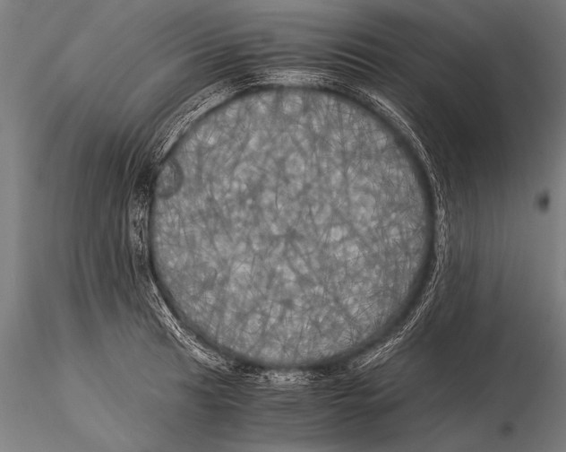 X0000116021041200912111347