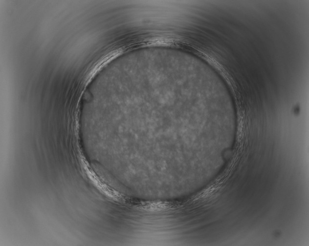 X0000116021042200912111347