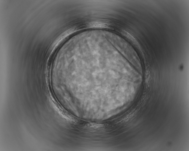 X0000116021043200912111347