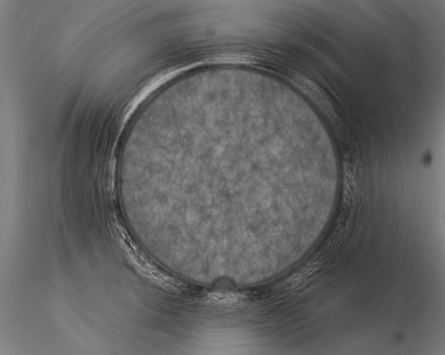 X0000116021044200912111347