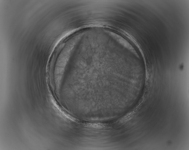 X0000116021045200912111347