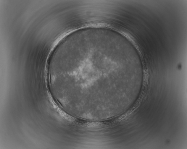 X0000116021046200912111347