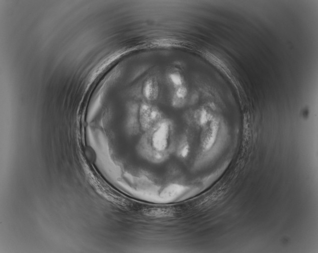 X0000116021047200912111347