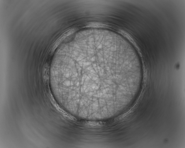 X0000116021049200912111347