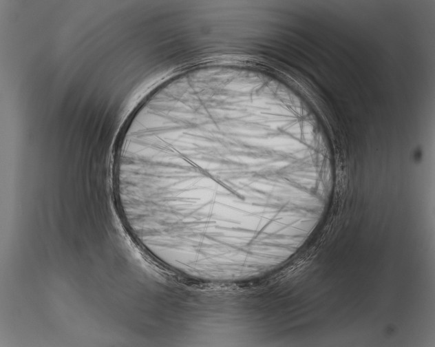 X0000116021050200912111347