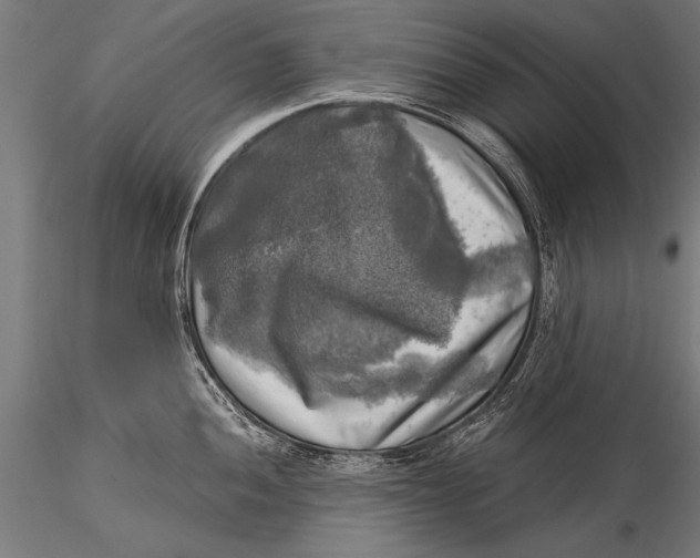 X0000116021052200912111347