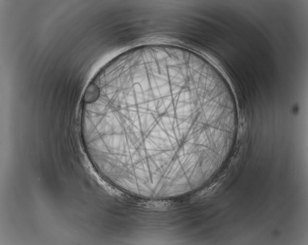 X0000116021053200912111347