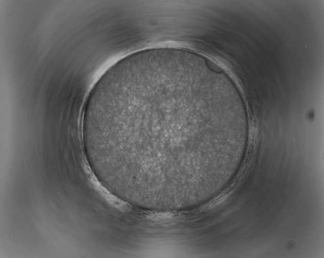 X0000116021054200912111347