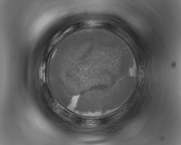 X0000116021055200912111347