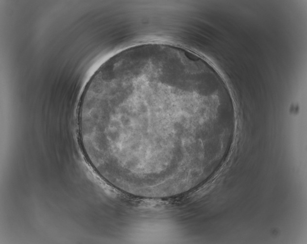 X0000116021056200912111347