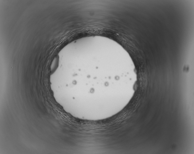 X0000116021057200912111346