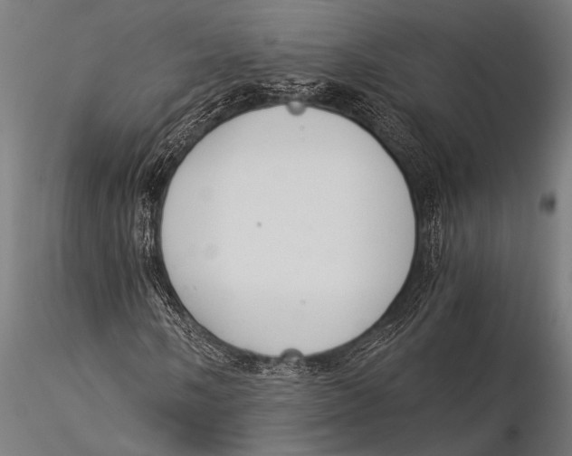 X0000116021058200912111346