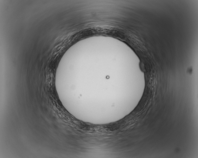 X0000116021061200912111346