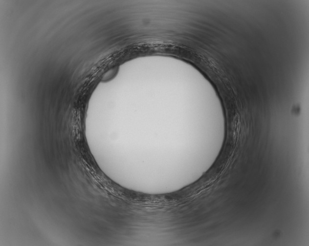 X0000116021062200912111346