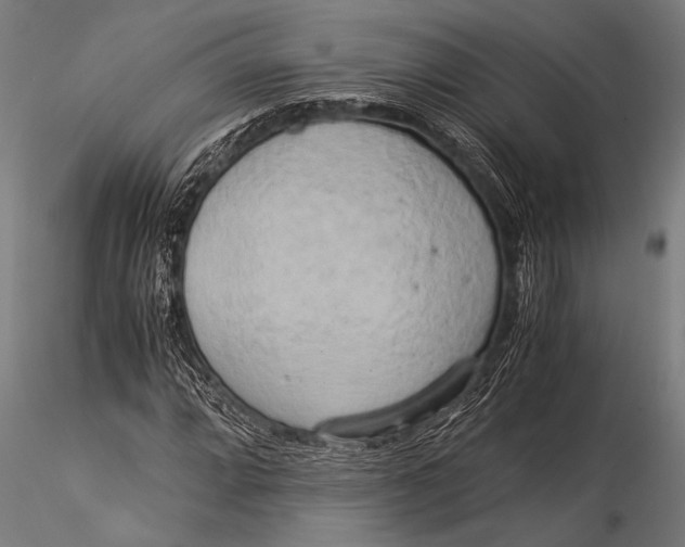 X0000116021064200912111346