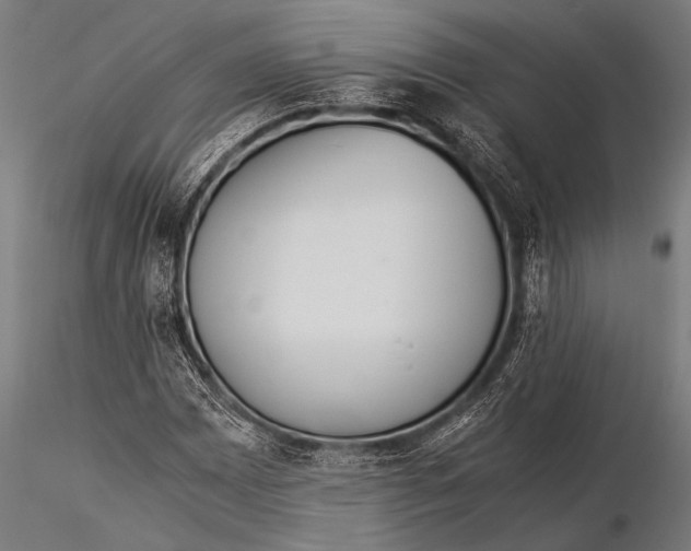 X0000116021065200912111346